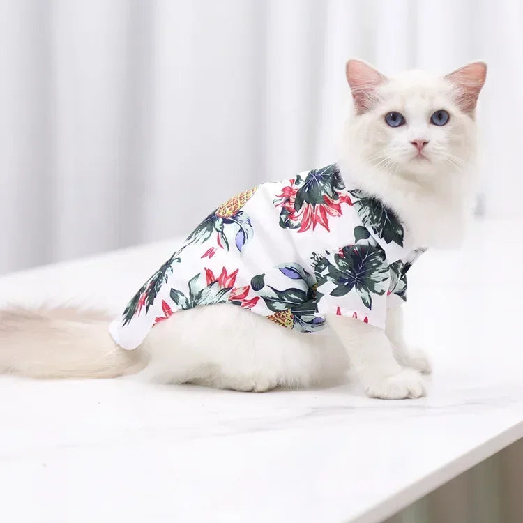Cat wearing a floral shirt on a white surface with a light gray curtain background