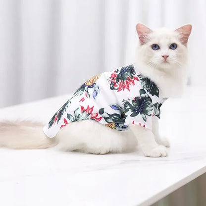 Cat wearing a floral shirt on a white surface with a light gray curtain background