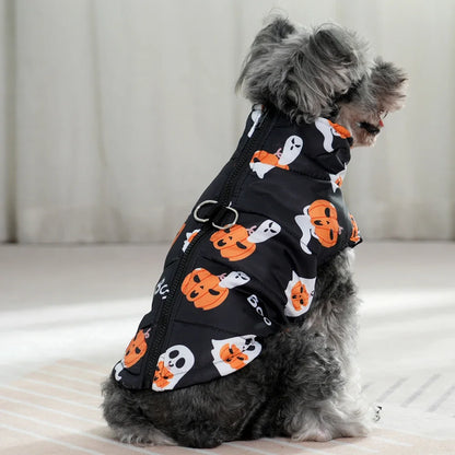 Dog wearing a Halloween-themed black coat with orange pumpkins and white ghosts on a light background.
