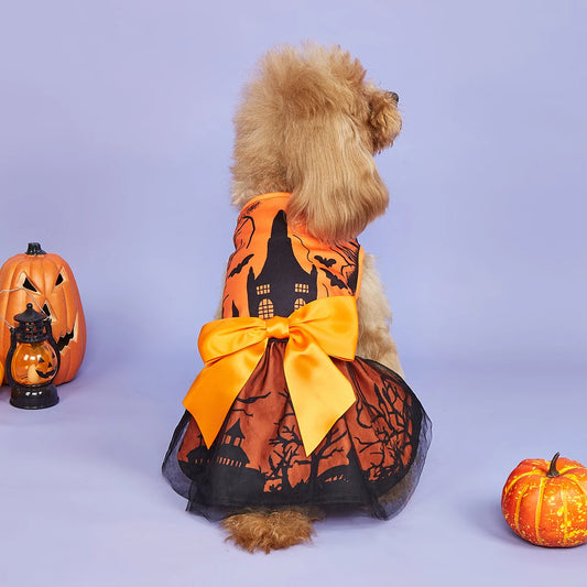 Dog wearing a Halloween-themed dress with pumpkins and a large bow, standing next to small pumpkins on a light purple background.