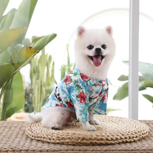 Small white dog wearing a colorful Hawaiian shirt standing on a woven mat with plants in the background