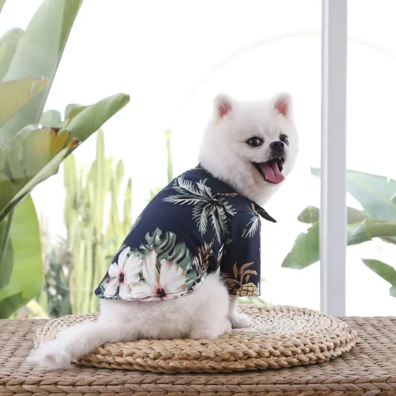 Small white dog wearing a floral shirt sitting on a woven mat with plants in the background