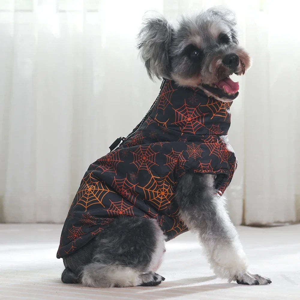 Dog wearing a black and orange spiderweb patterned coat on a light background