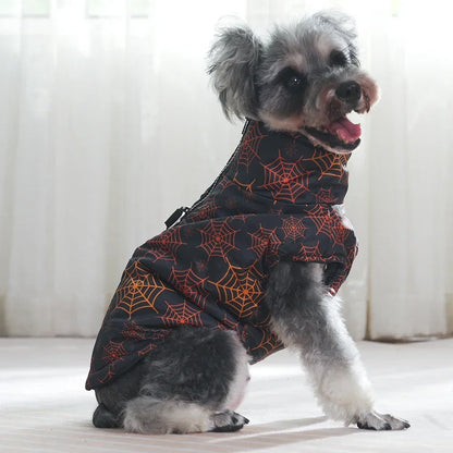 Dog wearing a black and orange spiderweb patterned coat on a light background
