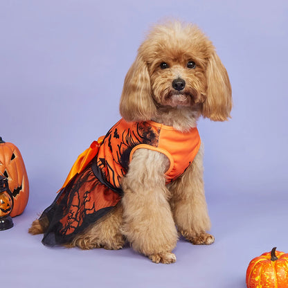 Dog wearing an orange Halloween costume with pumpkins on a purple background