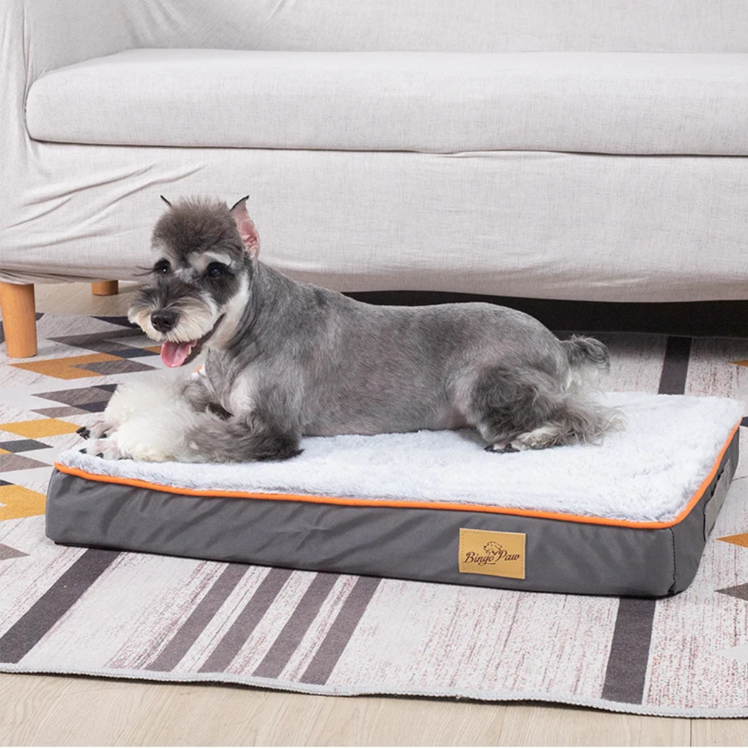 Dog lying on a gray pet bed with orange trim in a living room setting.