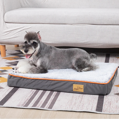 Dog lying on a gray pet bed with orange trim in a living room setting.