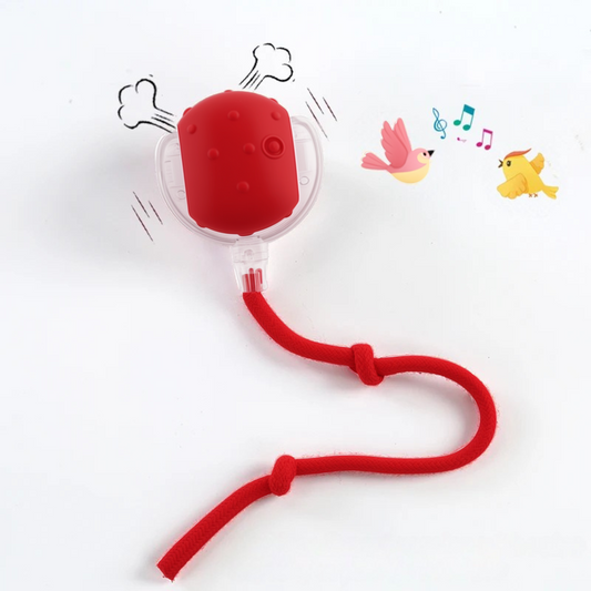 Red dog toy with a rope on a white background
