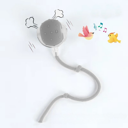 Gray pet toy with a rope on a white background