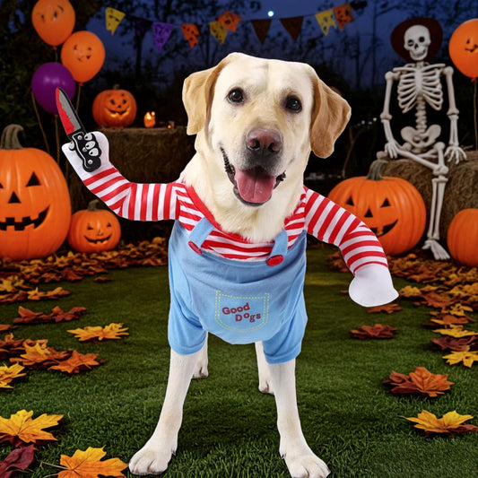 Dog in Halloween costume with striped shirt and blue overalls, surrounded by pumpkins and a skeleton.